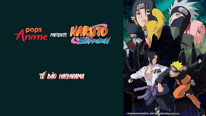 Naruto Shippuden Tập 351 - Tế Bào Hashirama