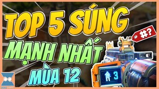 CALL OF DUTY MOBILE VN | TOP 5 SÚNG MẠNH NHẤT SEASON 12 | Zieng Gaming