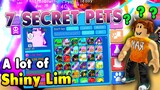 My Whole Pet Inventory in Roblox Bubble Gum Simulator
