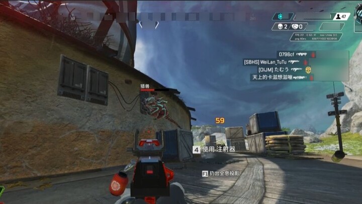 Dogs Can Jump on Walls