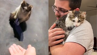 Homeless Cat Falls In Love With The Guy Who Rescued Him Rescue Cats