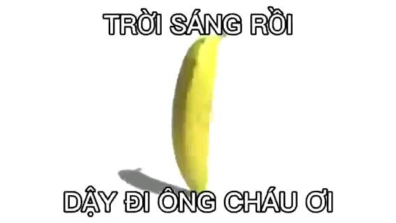 #meme