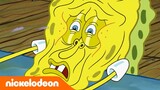 SpongeBob | SpongeBob dan Patrick Punya Wajah Baru?! | Nickelodeon Bahasa