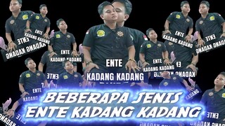 Berbagai Versi Ente Kadang Kadang Ente Dalam Satu Video...