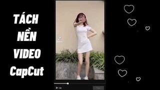 Hướng Dẫn Cách Tách Nền Video Siêu Nét Bằng Ứng Dụng Capcut - FSHARED #10