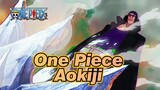 [One Piece] Aokiji--- His Justice Will Change According to His Standpoint