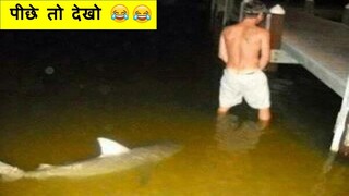 इन जानवरों की करतूत देखकर आपकी हसी नहीं रुकनेवाली| Funniest Animal Videos Caught On Camera Part -108