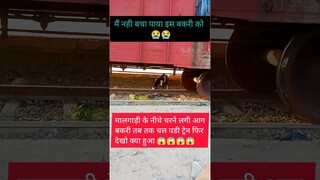 Live Accident !! Speedy Train Hits Goat's😱😱 #shorts #ytshorts #viral #train #cow #animals #goat