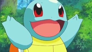 Pokémon丨 Squirtle ini lucu sekali, pasti perempuan!