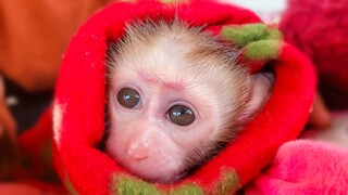 Mom gently comfort & massage for tiny adorable Luca to make him refreshing