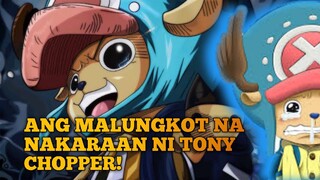 ANG MALUNGKOT NA NAKARAAN NI TONY CHOPPER!