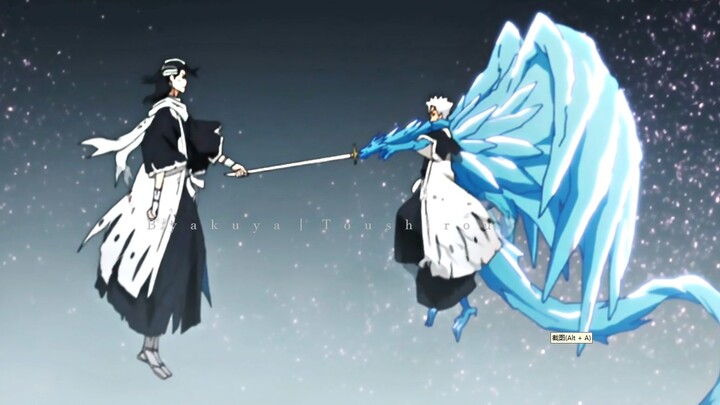 Kuchiki Byakuya VS Toshiro (Baymax VS Xiaobai)