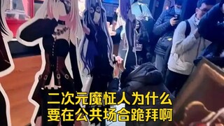 反二次元不是时尚单品只是反对魔怔二次元而已……