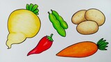 Cara menggambar sayur sayuran || Belajar menggambar dan mewarnai sayuran