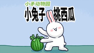 【小矛动物园】小兔子很会挑西瓜