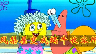 Patrick Star đối mặt với khủng hoảng triệt sản! Liệu cội nguồn của gia đình truyền thống có thể được