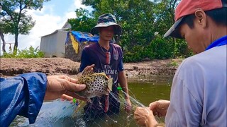 Về Trà Vinh Duyên Hải Thăm Mùa Cá Nâu, Một Ngày Săn Bắt Vùng Ven