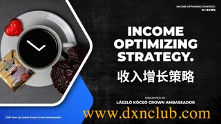 德信中国 4 收入增长策略 What are the expectations about a business opportunity?DXN 初级研讨会 #德信中国 #dxnchina #德信业务