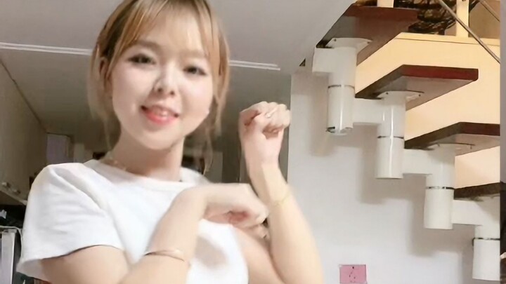 อาหารทดแทนสำหรับแมวที่เป็นพิษ Jiner