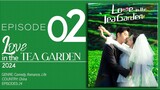 🇨🇳EP2 Love In The Tea Garden (2024)