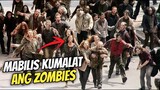 Nagkaroon Ng Zombie Apocalypse Sa Mundo Dahil Sa Kagat Ng Unggoy... | Movie Recap Tagalog