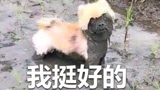 《猫里奥4#05》这是一个我花了一万条命也没通关的游戏。