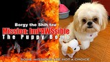 Mission ImPAWSsible 3: The Puppy Bomb ( Cute Dog Video)