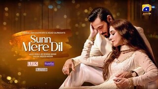 Sunn Mere Dil ep 13