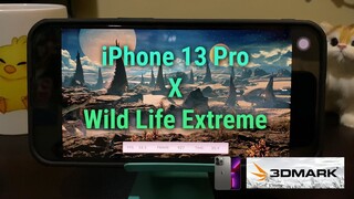 iPhone 13 Pro x 3DMark Wild Life Extreme: Scores and Ranking