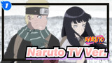 [Naruto] TV Ver. 10 The Last_1