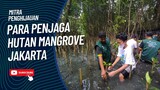 INSPIRATIF! Cerita Perjuangan Pak Ujang dan Rekan Jaga Hutan Mangrove Jakarta Tetap Lestari