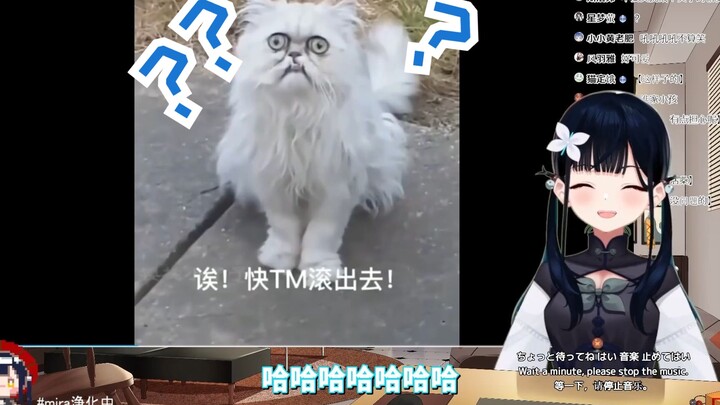 【B站入驻VUP】日本赶尸少女看怪猫猫【八鏡mira】