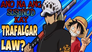 Trafalgar Law’s Next Mission?? (One Piece ) Theory | Analysis