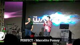 PERFECT - Marcelito Pomoy (Live with Lyrics)