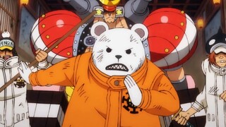 One Piece | Bepo is becoming more and more like Law, and he will taunt her