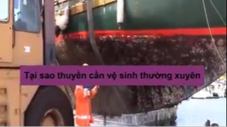 Vệ sinh tàu biển sẽ như thế nào