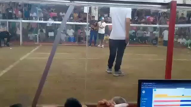 First fight ng 2x win kelso broodcock #DaddyVin2.0