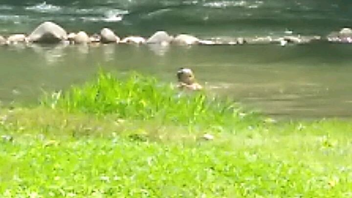 Ezekiel swimming the river