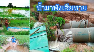 ฝนตกหนักติดต่อกันหลายวันเลยเป็นแบบนี้