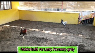 RubioGold vs Larry Romero Gray