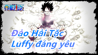 [Đảo Hải Tặc/Hài hước] Luffy - Đừng tranh với mình, Luffy đáng yêu là của mình rồi á!