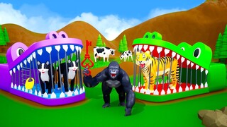 Choose the Right Key with Funny Animals - Magical Crocodile Cages in Forest | Gorilla, Tiger, Cat