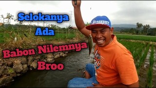 Niatnya Mancing Wader Malah Babon Nilemnya Ikut Nyangkut