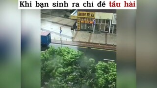 Khi bạn sinh ra chỉ để tấu hài