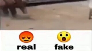 Real😡 Or Fake😯