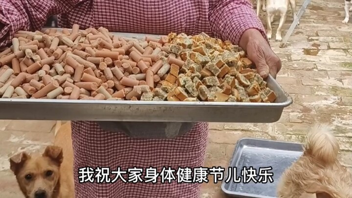 今天过节给毛孩子吃月饼了，祝大家节日快乐