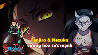 [Kimetsu no Yaiba]. Lý do Tanjiro và Nezuko có thể cường hóa sức mạnh để đánh bại Daki!