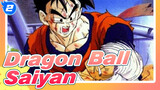[Dragon Ball] Para Saiyan Berjuang Demi Masa Depan Pada Waktu Penuh Keputusasaan_2
