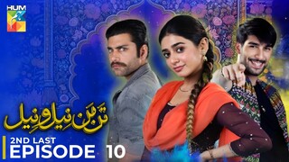 Tan Man Neel o Neel | Episode 10 | Sehar Khan - Shuja Asad | Pakistani Drama | Hum TV