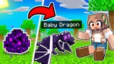 We ADOPTED a BABY DRAGON In Minecraft! (Tagalog) @Jey Jey